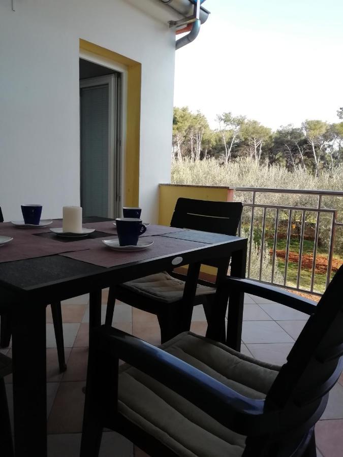 Apartman Ines Bibinje Extérieur photo
